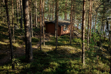 The house from logs in the wood on the bank of the lake.
