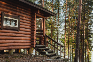 A lonely house in a pine forest on the shore of the lake.