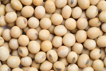 close up soy beans