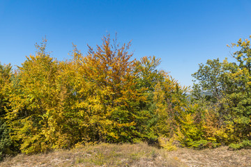 Autumn landscape of Ruen Mountain - northern part of Vlahina Mountain, Kyustendil Region, Bulgaria