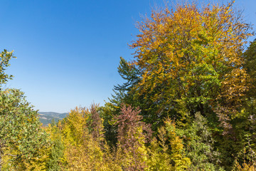 Fototapeta premium Autumn landscape of Ruen Mountain - northern part of Vlahina Mountain, Kyustendil Region, Bulgaria