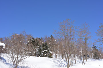 雪景色と青空