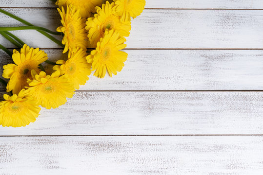 Yellow Daisies or mums on a white plank background with copy space