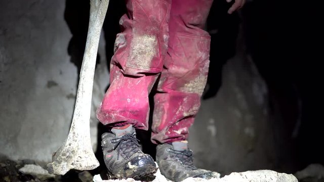 Cavers find bones of extinct Giant Moa in caves in New Zealand