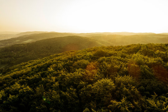 Austria, Lower Austria, Vienna Woods, Biosphere Reserve Vienna Woods, Aerial view of forest at sunrise