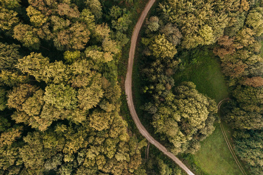 Austria, Lower Austria, Vienna Woods, Biosphere Reserve Vienna Woods, Aerial view of dirt road and forest in the early morning