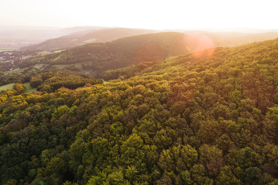 Austria, Lower Austria, Vienna Woods, Biosphere Reserve Vienna Woods, Aerial view of forest at sunrise