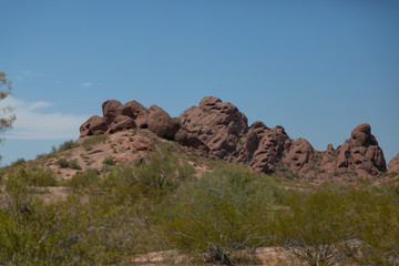 Red sandstone formations with Creosote Bush in foreground