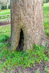 A small animals home.