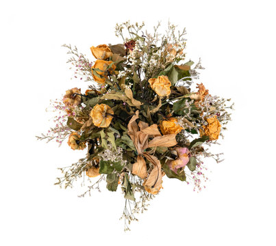 Dried Flowers Isolated
