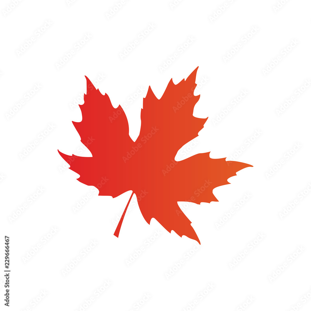 Wall mural maple leaf logo icon design template vector