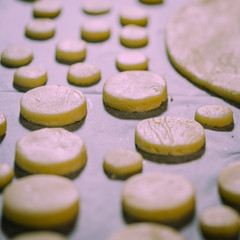 cookies in the making