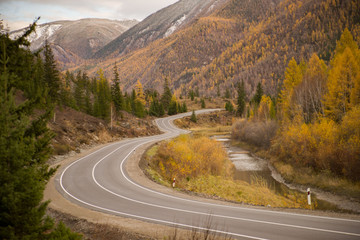 Fototapeta premium Golden autumn