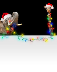Zoo Giraffe and Elephant Christmas Light Banner