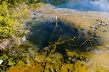 Kuirau Park in Rotorua, New Zealand