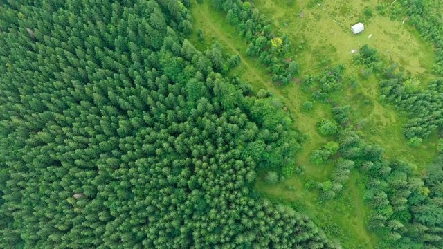 top view of carpathian landscape