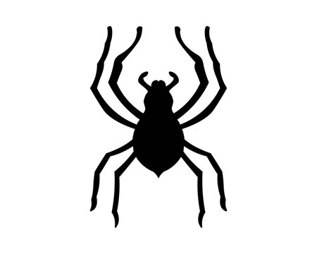 Spider vector and insect animal