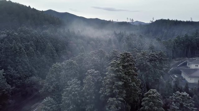 AERIAL: Misty morning above the forest in Mount Koya, Japan.