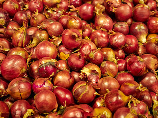 A lot of onions in container before packing for sale