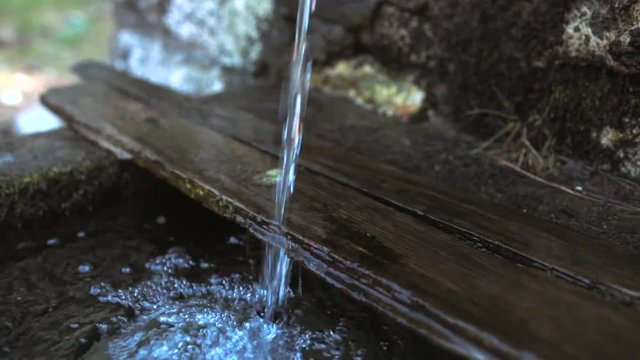 A fount deep in the forest