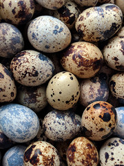 Quail eggs image