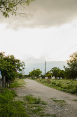 dirt road surrounded by green leaves and beautiful nature, background of a cloudy blue sky