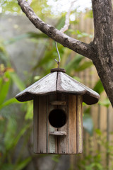 Wooden bird house hang on tree