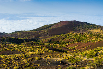 Fototapeta na wymiar Great view in Teide National Park. Tenerife. Canary Islands..Spain