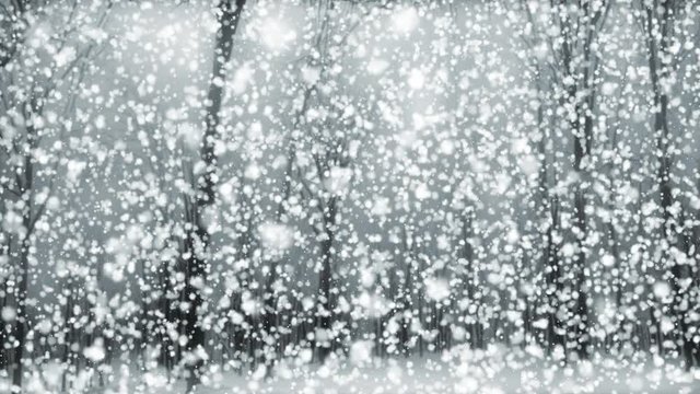 Magical Snow Gray - Atmospheric Poetic Winter Video Background Loop // A snowy winter forest with a dream-like visual quality. Great atmospheric background video especially suited for Christmas time. 