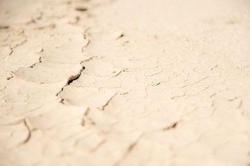 Cracked desert floor