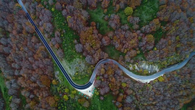 Aerial view of the Woods in autumn in the abruzzo National Park. road through the trees 