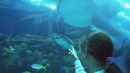 Teenage girl amusingly watching the fish in Aquarium