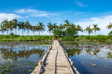 Bamboo walkway and Bamboo shack on the pond.
