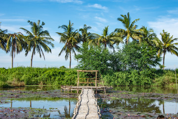 Obraz premium Bamboo walkway and Bamboo shack on the pond.