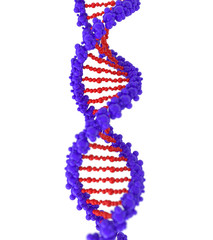 Digital illustration of DNA, conceptual image