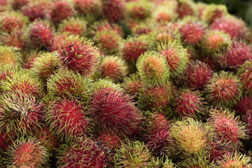 Fresh rambutan from the garden to market place