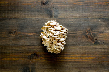 Oyster mushroom. Fresh raw veshenka on dark wooden background top view space for text