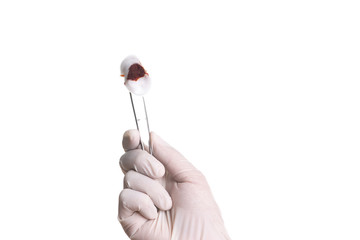 Doctor hand in white latex sterile gloves with forceps isolated on white