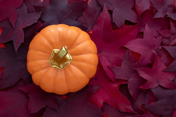 Orange ceramic pumpkin on a background of red fall leaves
