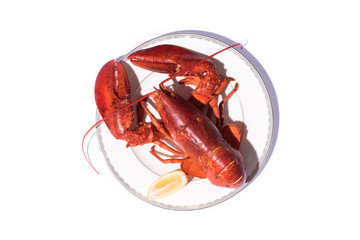 Lobster in plate on background,boil lobster