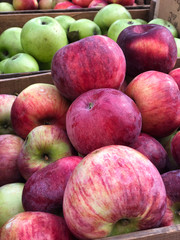 Red and Green Apples