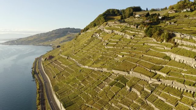 Aerial shot of Lavaux vineyard steepest part, autumn colors and sunset light
Clos des Moines - Vaud, Switzerland