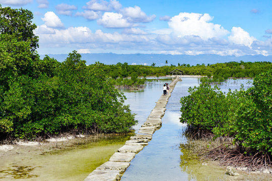 olango island