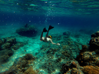 Diver in the coral reef