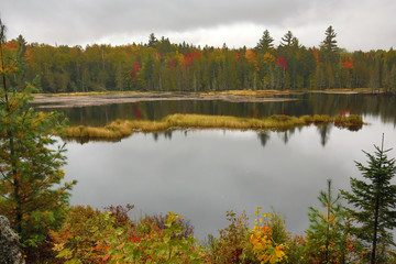 Fall foliage on the shoreline of Redington Pond in Maine.