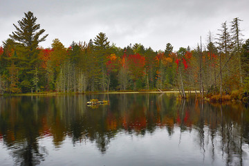 Fototapeta na wymiar Fall foliage on the shoreline of Redington Pond in Maine.