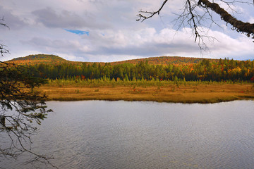 Fall foliage along the shoreline of Stratton Brook Pond, Maine.