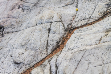 White marble Sticky dirt Rough surface is a deep groove.