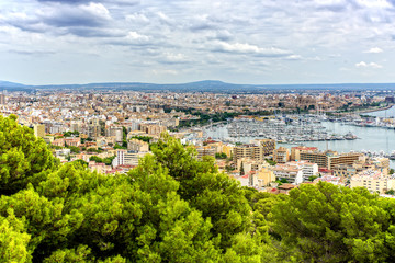 Fototapeta premium Hafen Palma de Mallorca Hauptstadt Mallorca Boot Jacht