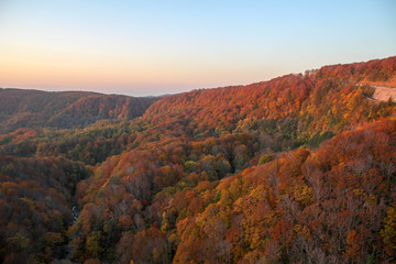 風景, 秋, 山, 自然, 落ちる, 空, 山, 木, 森, 木, 青, 景色, 緑, 低地, 旅行, ヒル, 季節, 明媚, 全景, 色, 美しい, 雲, 赤, 草, 黄色